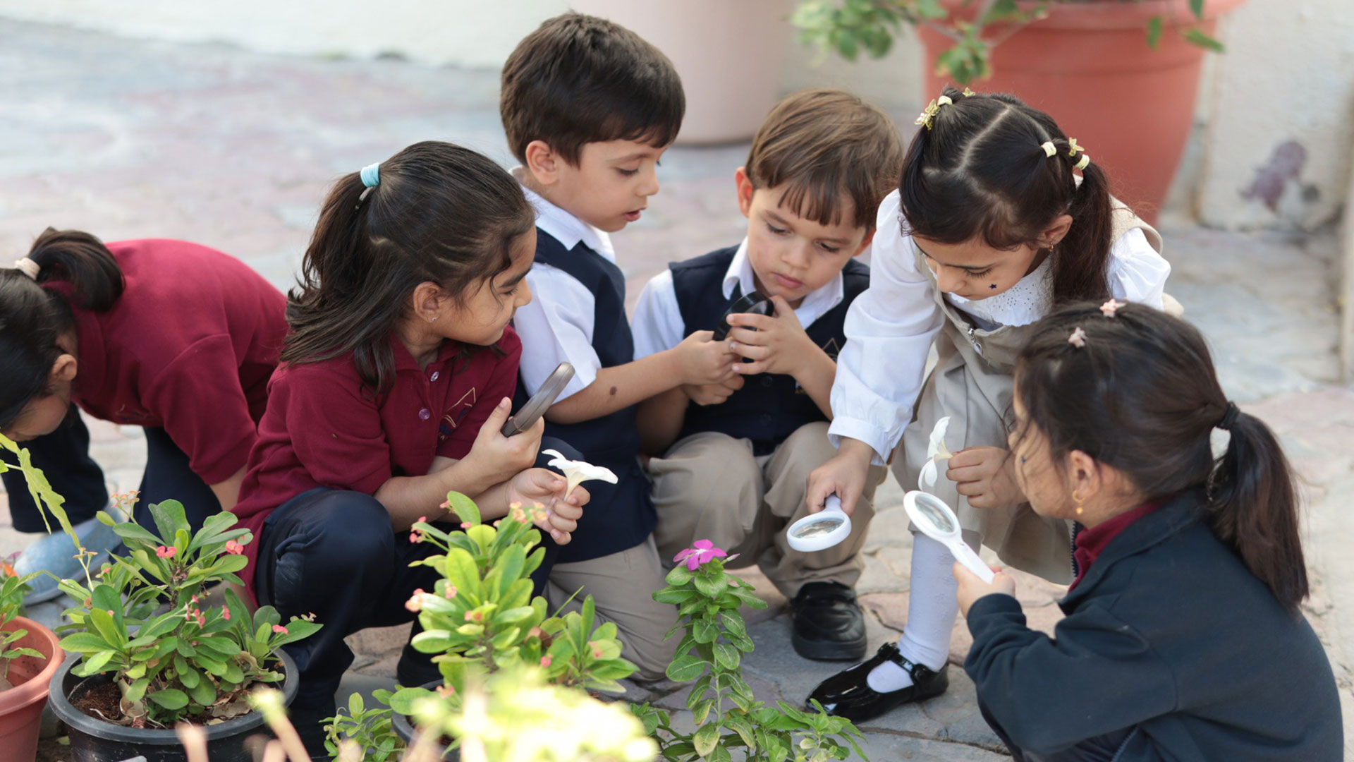 Shaping Global Thinkers for Tomorrow