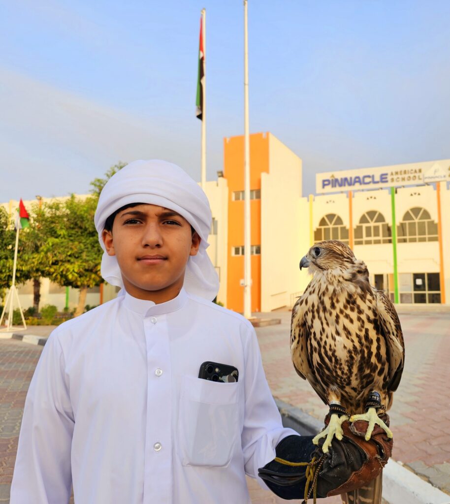 Pinnacle American School