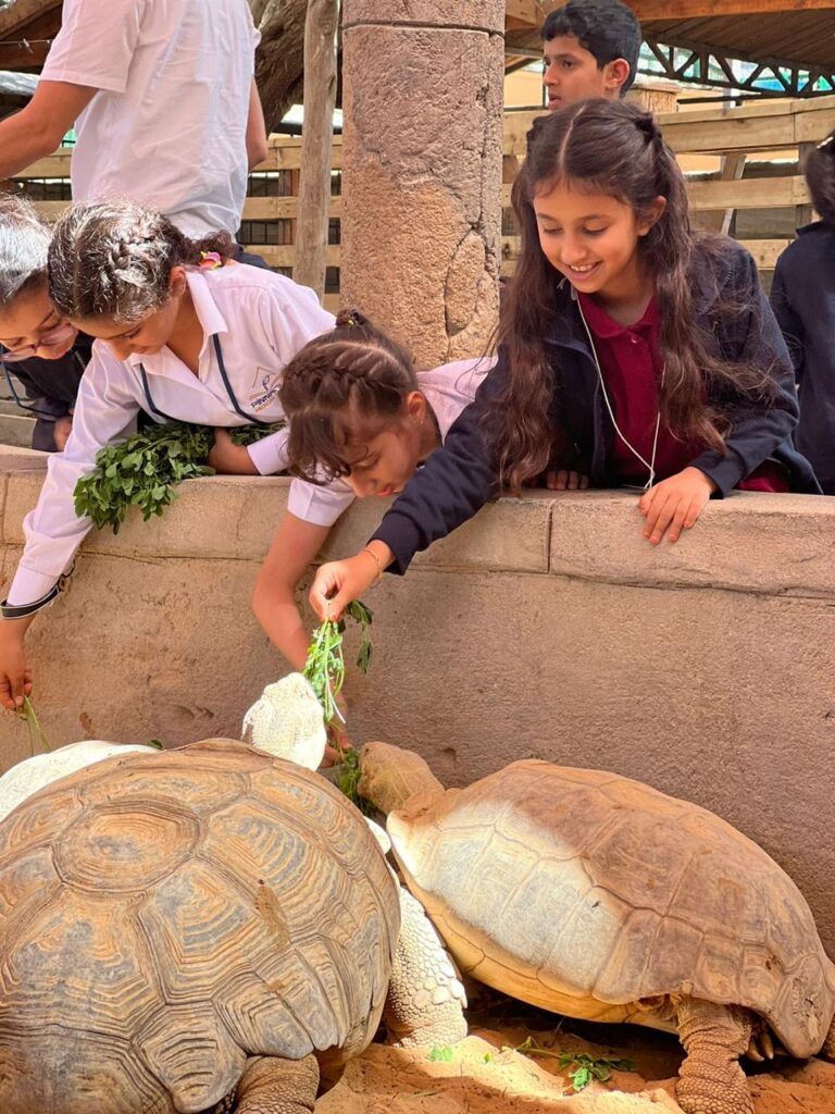 SCHOOL TRIP TO EMIRATES PARK ZOO